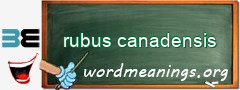 WordMeaning blackboard for rubus canadensis